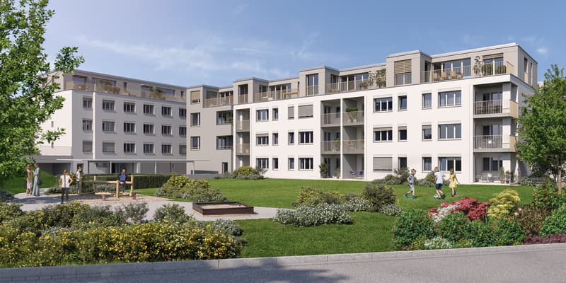 Neue Attikawohnungen in Dielsdorf (2)