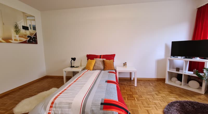 modern möbliertes Zimmer in Volketswil (1)