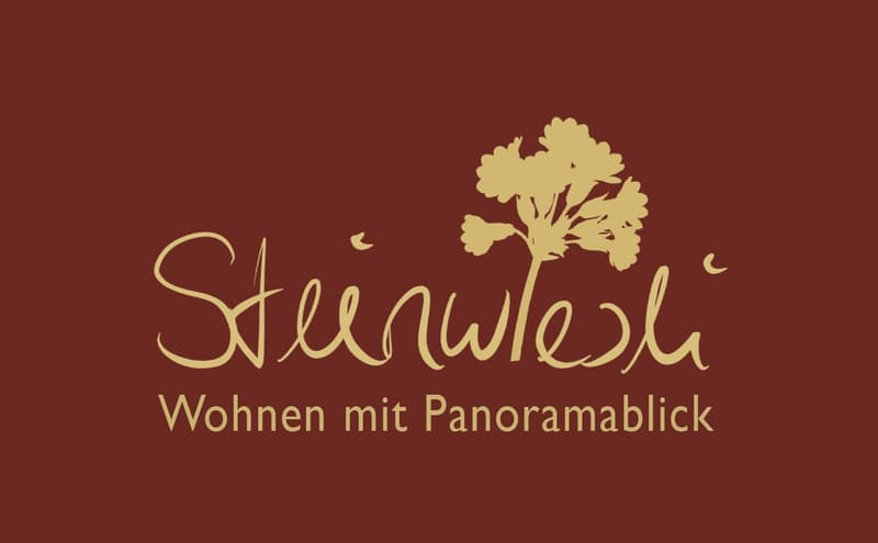 Neubauwohnungen "Steinwiesli" - letzte zwei freie 4 1/2-Zimmer Wohnungen. (10)