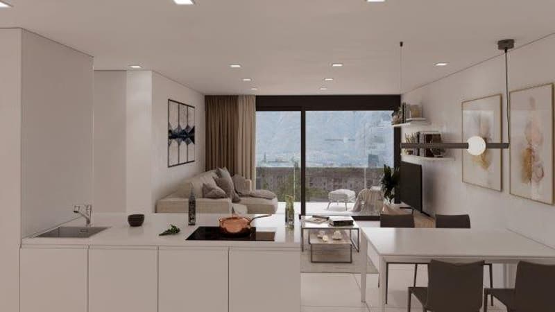 Nuovo appartamento di 2.5 locali a Massagno (1)