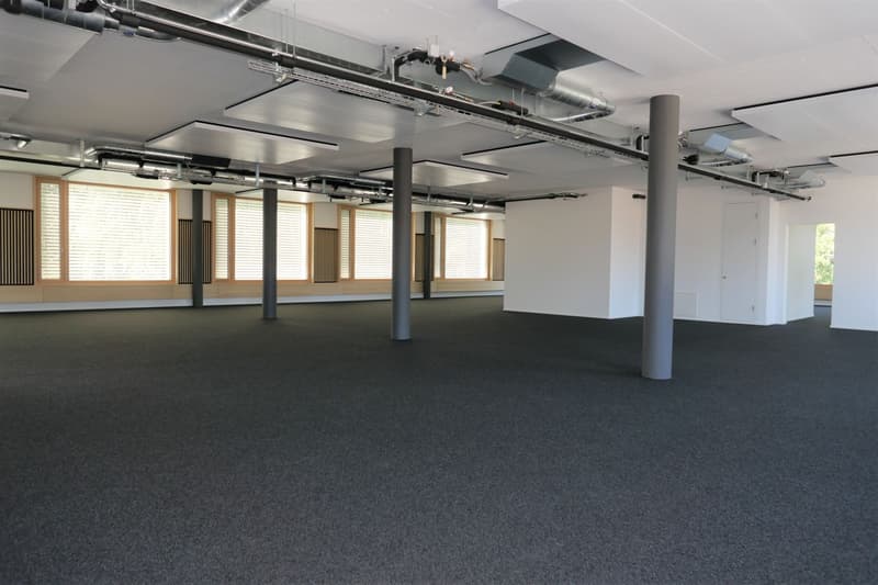 neue Büroräume im Industriegebiet Widnau (2)