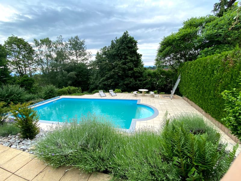 High quality property with view on Basel, 5 bedrooms - XL swimming pool - Sauna (14)
