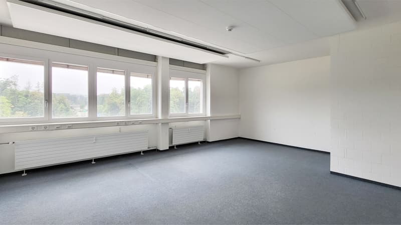 Ausgebaute Bürofläche mit Sitzungszimmer (1)