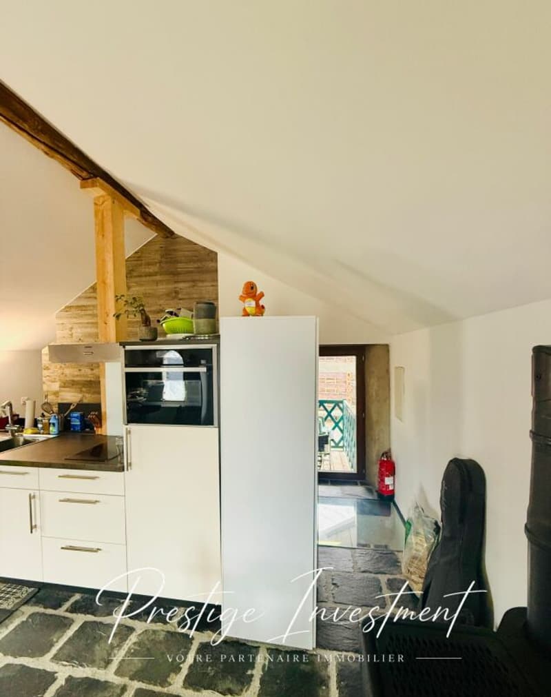 CHARMANT STUDIO DE RENDEMENT - 52 M2, MASE ! ( MONT-NOBLE ) (5)