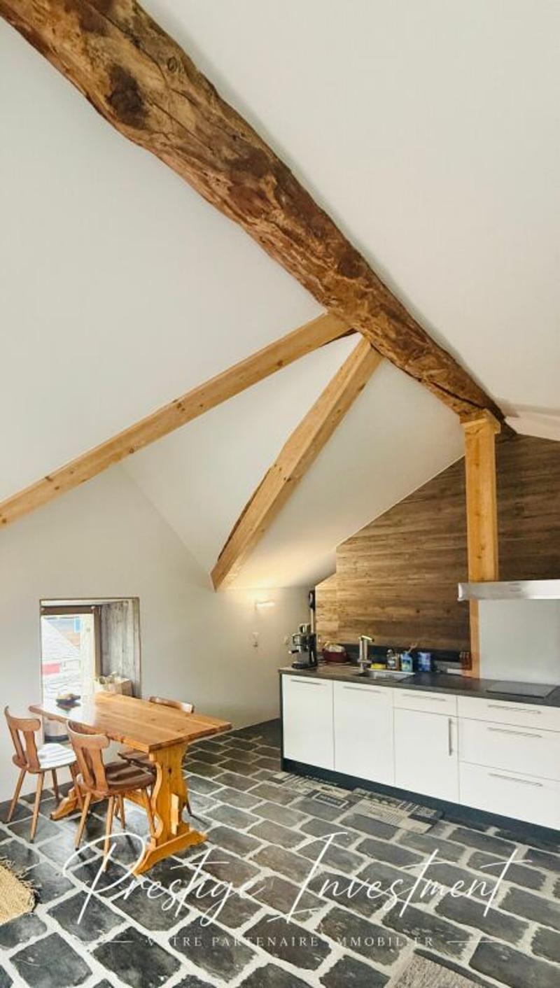 CHARMANT STUDIO DE RENDEMENT - 52 M2, MASE ! ( MONT-NOBLE ) (3)