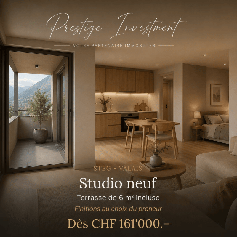STUDIO NEUF À STEG (VS) - DÈS CHF 161'000 (1)