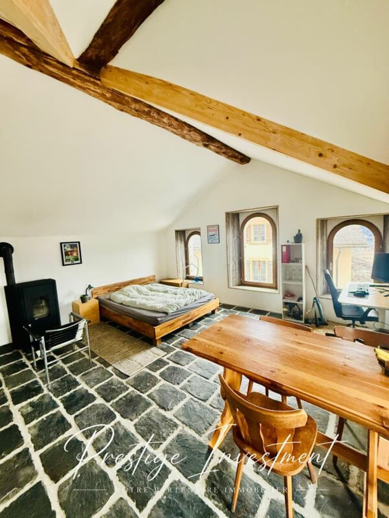 CHARMANT STUDIO DE RENDEMENT - 52 M2, MASE ! ( MONT-NOBLE ) (6)