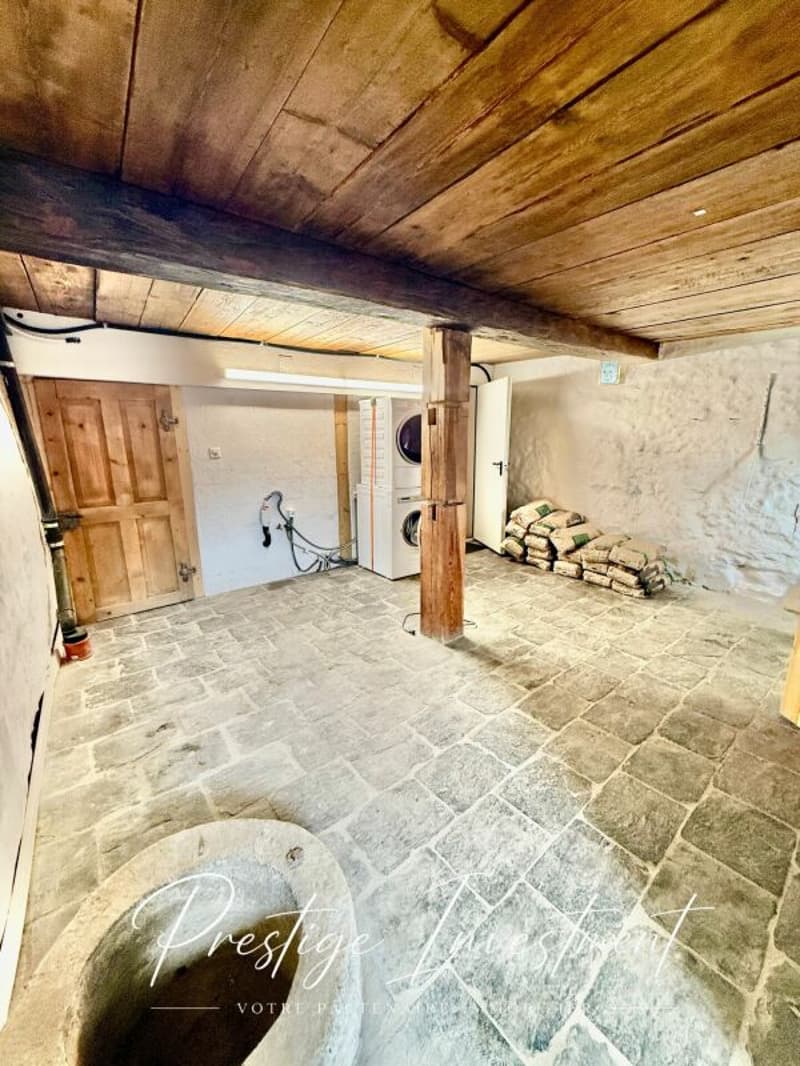 MAGNIFIQUE DUPLEX RÉNOVÉ DE 3.5 PCS + LOCAL/ATELIER - MASE (MONT- NOBLE) (6)