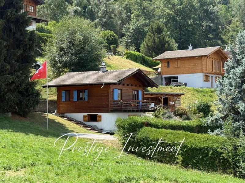 CHARMANT CHALET INDIVIDUEL AU COEUR DE LA NATURE (2)