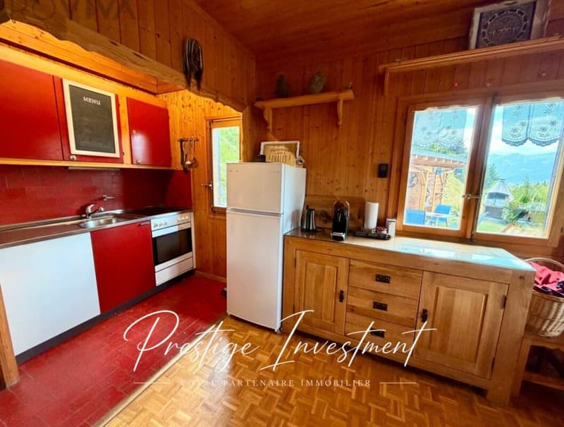 CHARMANT CHALET INDIVIDUEL AU COEUR DE LA NATURE (9)
