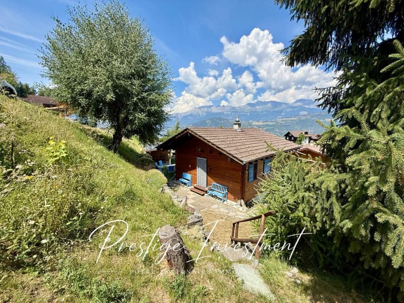 CHARMANT CHALET INDIVIDUEL AU COEUR DE LA NATURE (8)