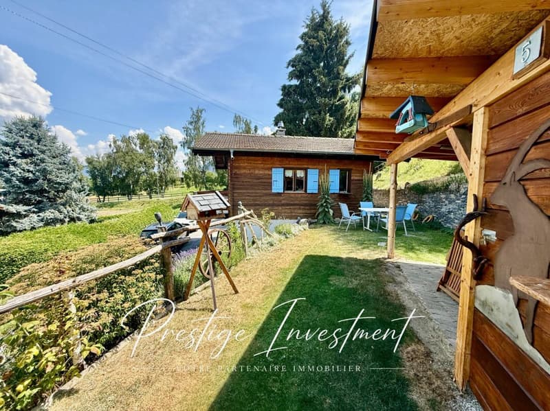 CHARMANT CHALET INDIVIDUEL AU COEUR DE LA NATURE (6)