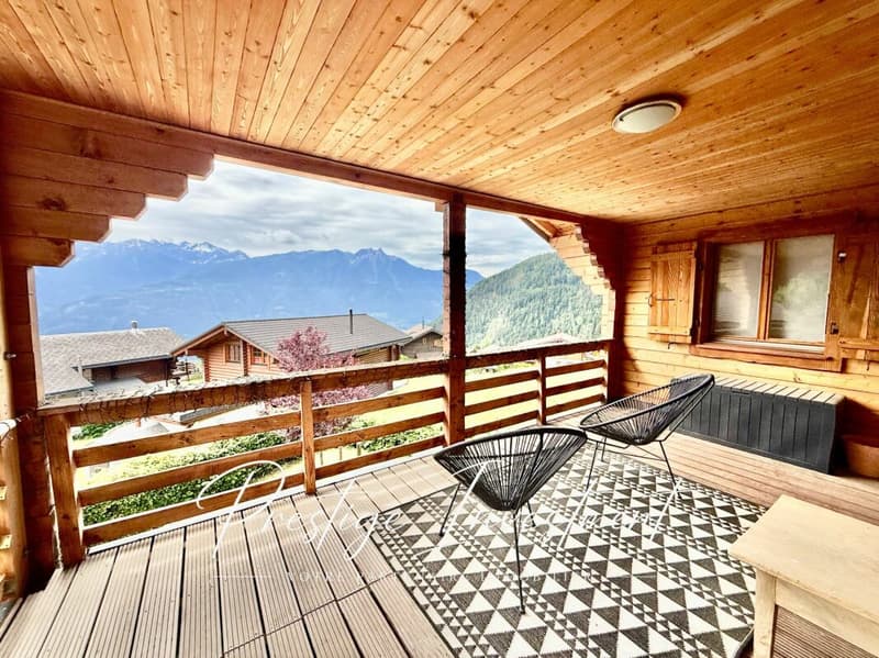 HAVRE DE PAIX AU COEUR DES ALPES VALAISANNES OVRONNAZ (18)