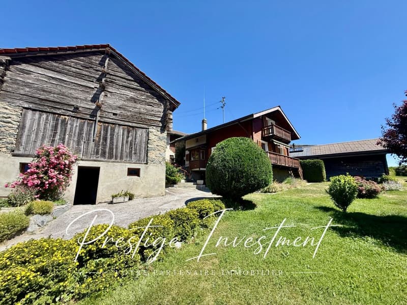 CHARMANT CHALET DE 4,5 PCES AVEC DÉPENDANCES - NAX (3)