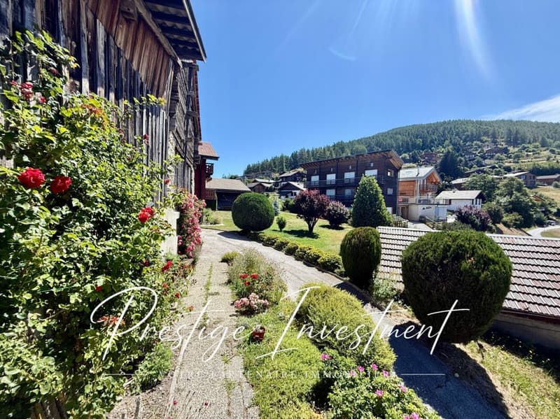 CHARMANT CHALET DE 4,5 PCES AVEC DÉPENDANCES - NAX (23)