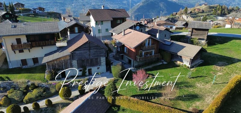 CHARMANT CHALET DE 4,5 PCES AVEC DÉPENDANCES - NAX (1)
