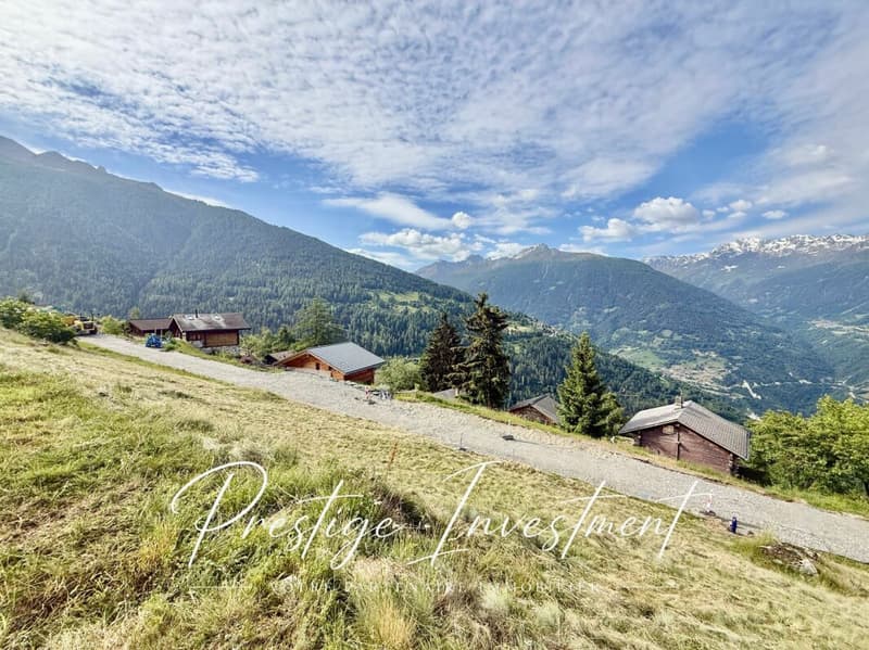 TERRAIN DE 885 M2 AVEC PERMIS EN FORCE - MAYENS DE MASE (4)