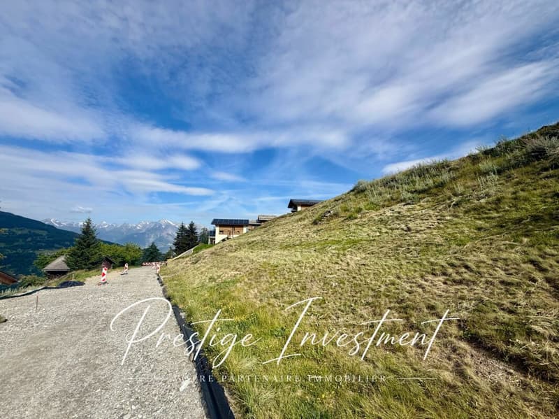 TERRAIN DE 885 M2 AVEC PERMIS EN FORCE - MAYENS DE MASE (7)