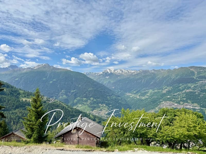 TERRAIN DE 885 M2 AVEC PERMIS EN FORCE - MAYENS DE MASE (6)