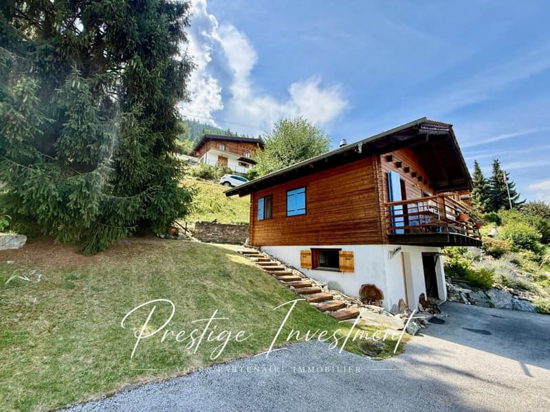 CHARMANT CHALET INDIVIDUEL AU COEUR DE LA NATURE (3)
