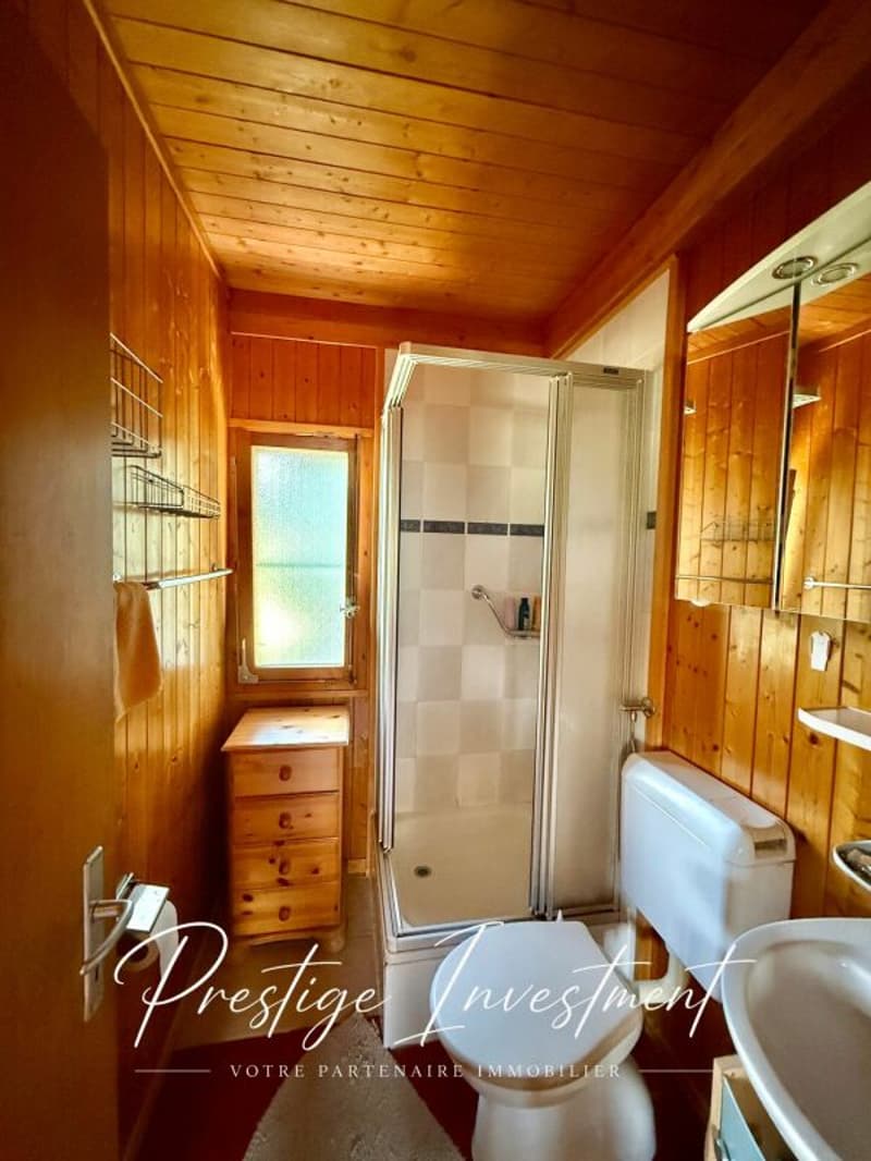 CHARMANT CHALET INDIVIDUEL AU COEUR DE LA NATURE (15)