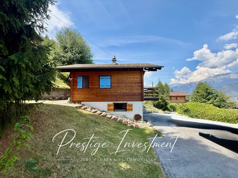CHARMANT CHALET INDIVIDUEL AU COEUR DE LA NATURE (4)