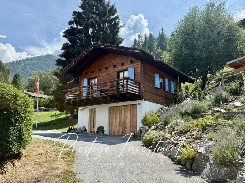 CHARMANT CHALET INDIVIDUEL AU COEUR DE LA NATURE (2)