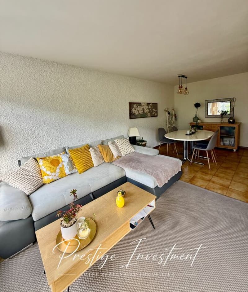 APPARTEMENT LUMINEUX DE 5 PCS, 119 M2, SION (1)