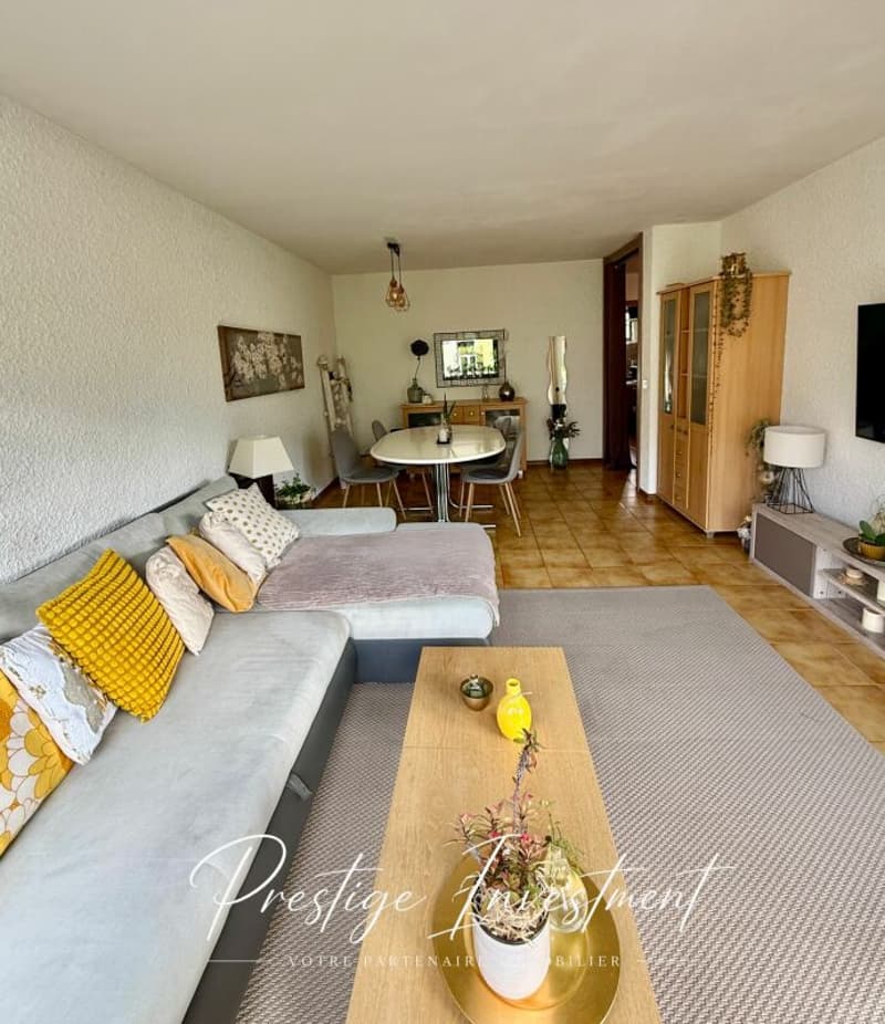 APPARTEMENT LUMINEUX DE 5 PCS, 119 M2, SION (4)