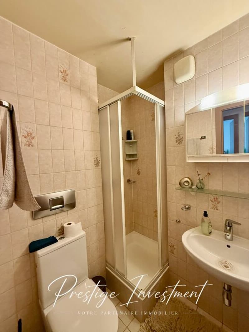 APPARTEMENT LUMINEUX DE 5 PCS, 119 M2, SION (10)