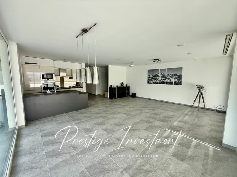APPARTEMENT LUMINEUX EN TERRASSE DE 5.5 PCS & 148 M2 APROZ (2)