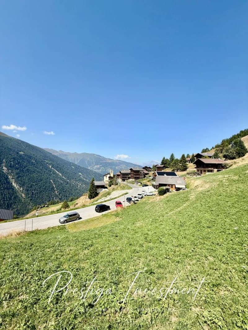 TERRAIN DE 3747 M2 - EISON (ST-MARTIN) (5)