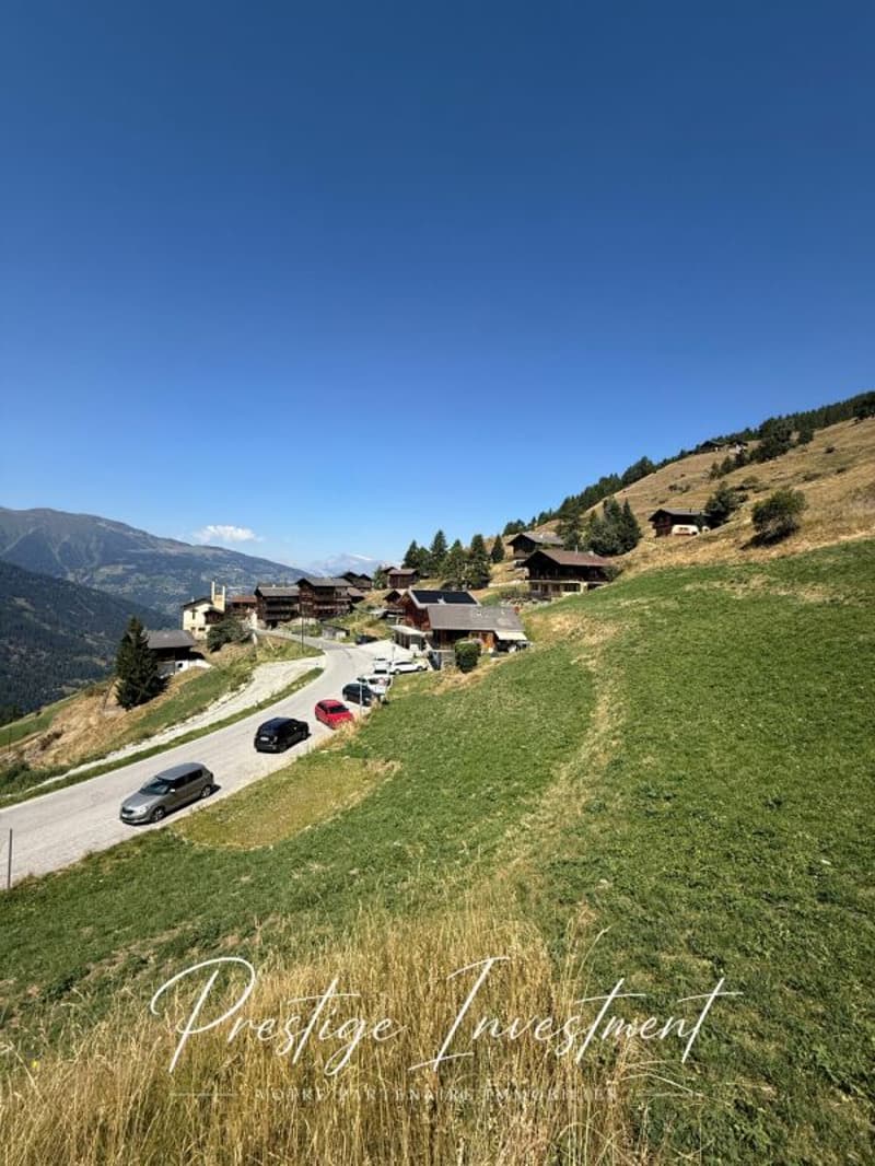 TERRAIN DE 3747 M2 - EISON (ST-MARTIN) (2)