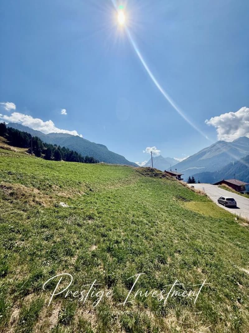 TERRAIN DE 3747 M2 - EISON (ST-MARTIN) (4)