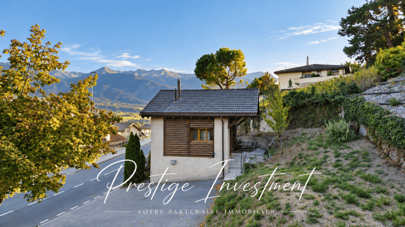 GRANGE RÉNOVÉE DE 3.5 PCES - VEYRAS (2)