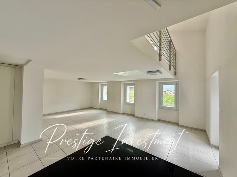 ATTIQUE - DUPLEX DE 4.5 PCES & 188 M2 - LEYTRON (5)