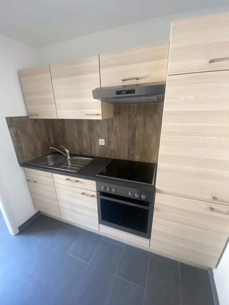 A louer: appartement 2 pièces avec cuisine agencée - Jonchères 49 (6)
