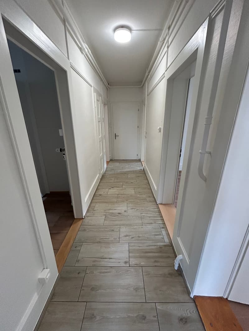A louer: bel appartement rénové de 4.5 pièces - Passage des Jardins 1 (8)