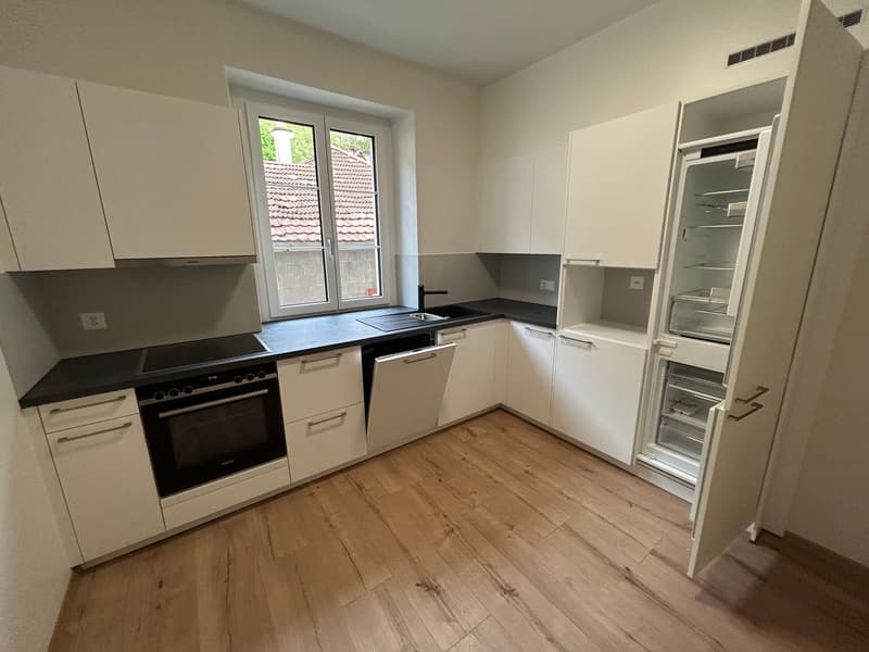 A louer: bel appartement rénové de 4.5 pièces - Passage des Jardins 1 (2)