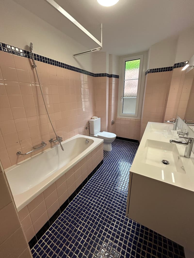A louer: bel appartement rénové de 4.5 pièces - Passage des Jardins 1 (4)