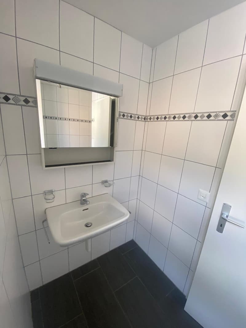 A louer: appartement 2 pièces avec cuisine agencée - Jonchères 49 (4)