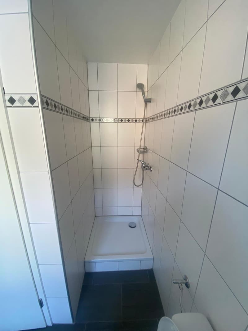 A louer: appartement 2 pièces avec cuisine agencée - Jonchères 49 (5)