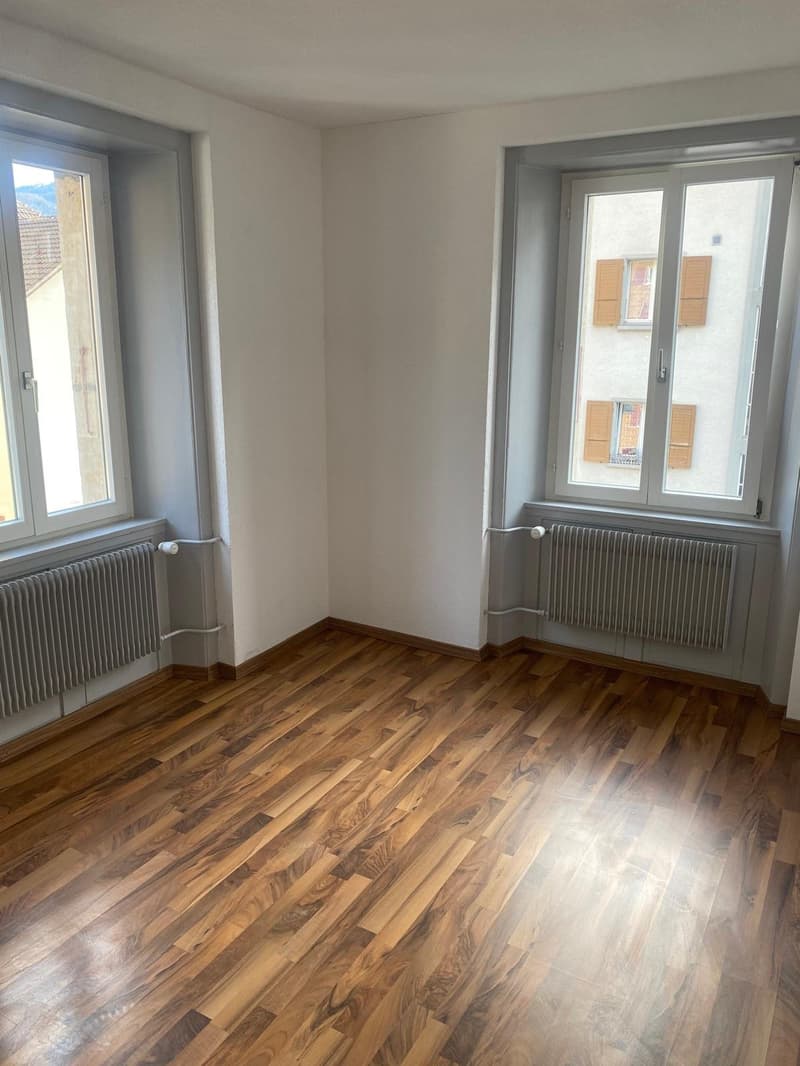 A louer: appartement 2 pièces avec cuisine agencée - Jonchères 49 (7)