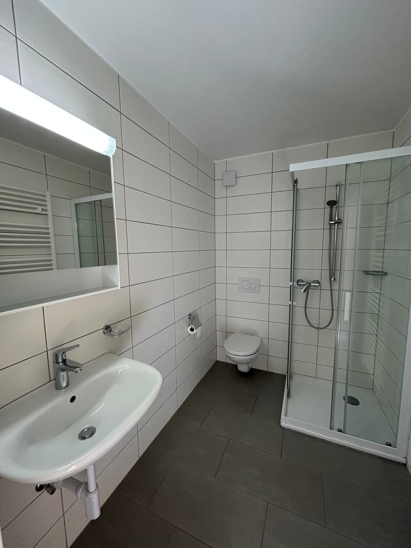 white walls, gray tiles on floor, glass door with shower head and shower hose, sink with faucet, mirror, toilet, roll of toilet paper
