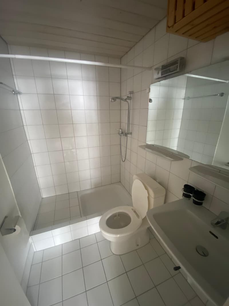 A louer: appartement 3 pièces - Jonchères 22, St-Imier (4)
