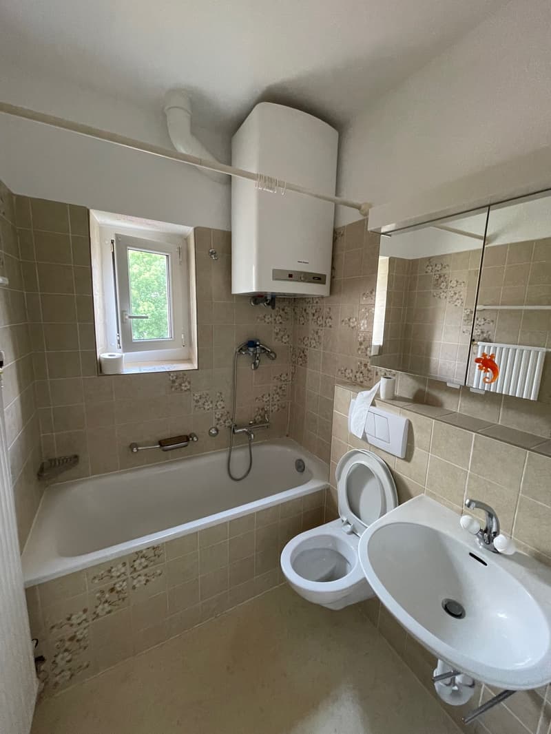 A louer: appartement 3.5 pièces - Pontins 17, Villeret (5)