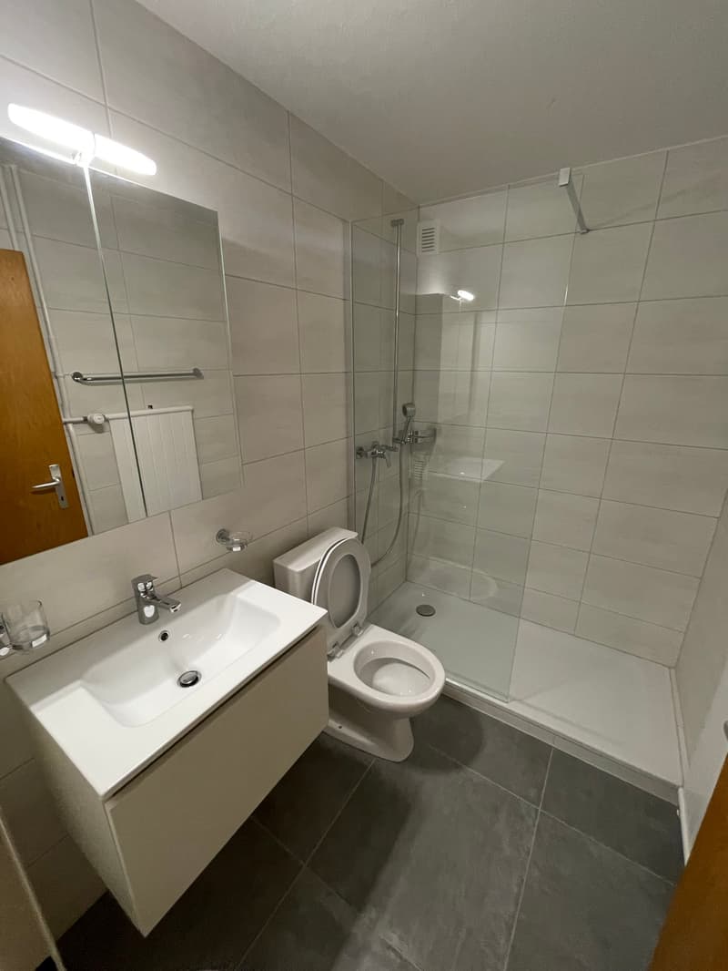 A louer: appartement de 3.5 pièces avec balcon - Tivoli 52 (5)