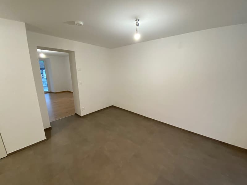 empty room, white walls, brown floor, 2 doors, ceiling light