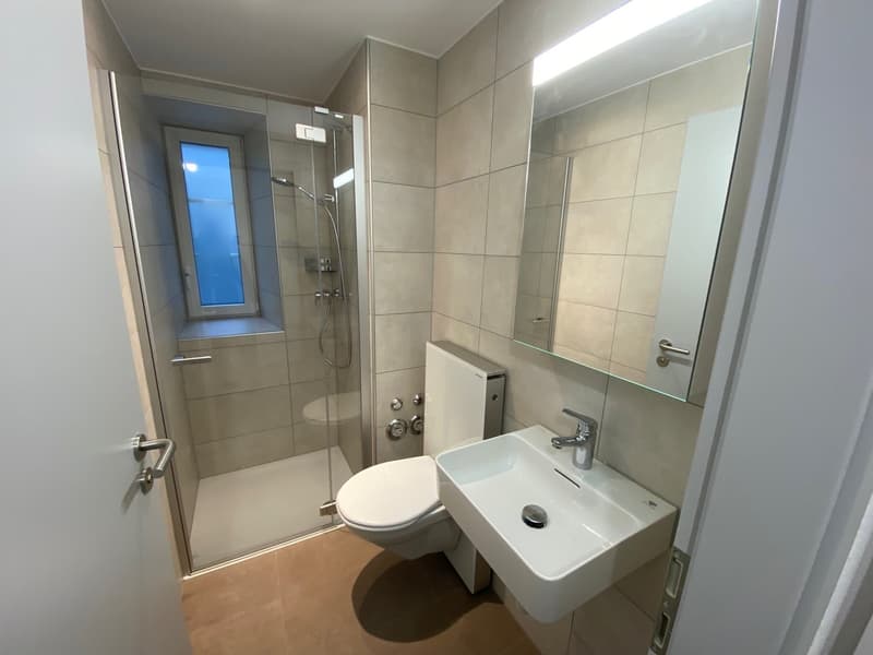 Bathroom: shower stall, white toilet, sink, mirror, tile flooring