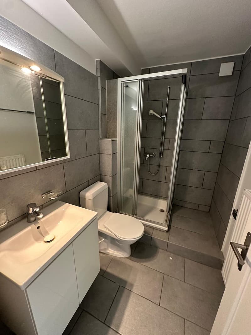 Bathroom with white toilet, sink, mirror, and shower stall
